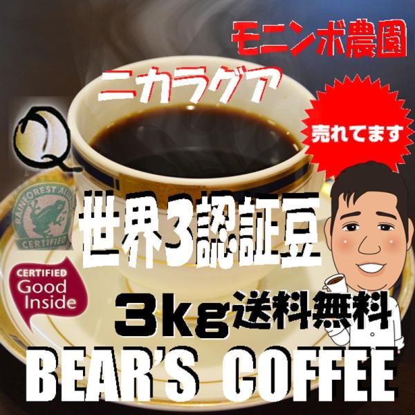 bears coffee コーヒー豆 ニカラグア モニンボ農園 3kg コーヒー豆半額　グルメコーヒ...