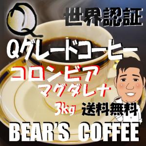 コーヒー豆コロンビア マグダレナ 3kg 送料無料コ―ヒ豆 人気に訳あり珈琲 無農薬コーヒー
