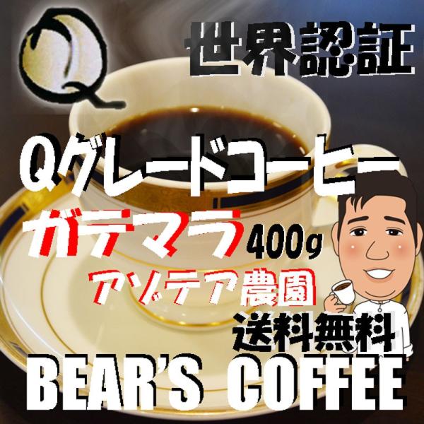 スペシャルティコーヒー Ｑグレードコーヒーコーヒー豆ガテマラ アンティグア アゾテア農園 400g ...