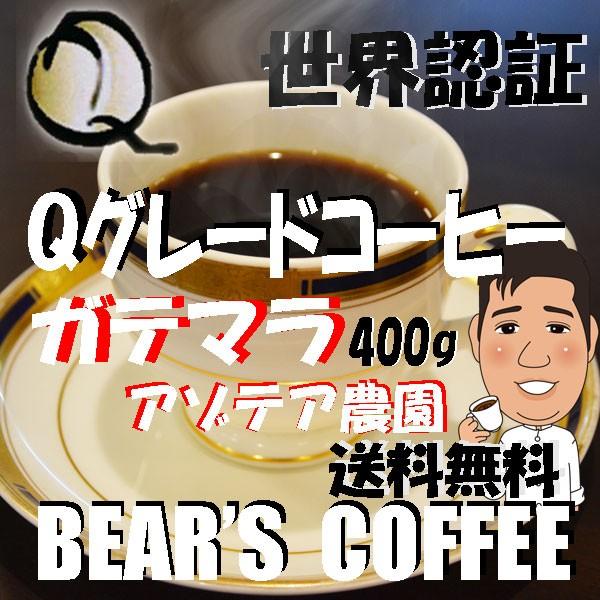 グァテマラ コーヒー豆ガテマラ アゾテア農園 400g 人気に訳ありコーヒー コーヒー半額 Qグレー...