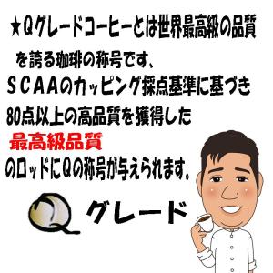 コーヒー豆コロンビア マグダレナ 3kg 送料...の詳細画像2
