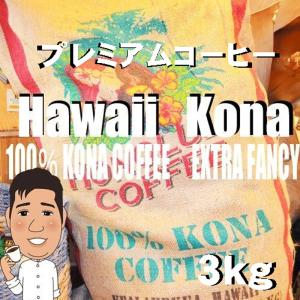 bearscoffee コーヒー豆ハワイ コナ エクストラファンシー 3kg コーヒー半額 コーヒー送料無料 人気に訳ありコーヒー