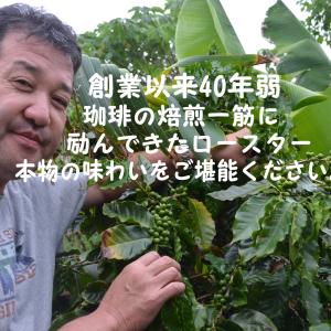 スペシャルティコーヒー豆ブラジル カルモデミナ...の詳細画像1