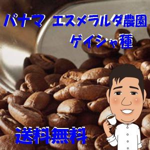 コーヒー 生豆 パナマゲイシャ ナチュラル 200g 未焙煎グリーン