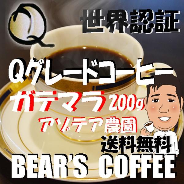 スペシャルティコーヒー Ｑグレードコーヒー コーヒー豆ガテマラ アンティグア アゾテア農園 200g...