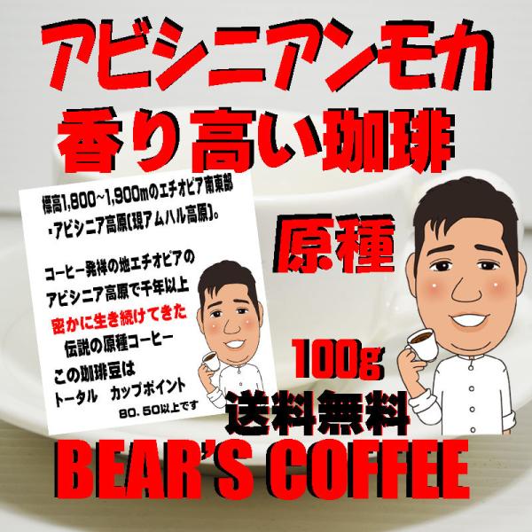 コーヒー豆モカ 100g 原生種アビシニアンモカ ワイルドコーヒー 人気に訳ありコーヒー コーヒー送...