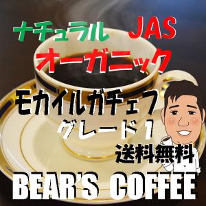 有機栽培コーヒー豆使用 ナチュラル コーヒー豆モカイルガチェフィ 3kg コーヒー送料無料 コ―ヒ豆 人気に訳あり珈琲 無農薬コーヒー