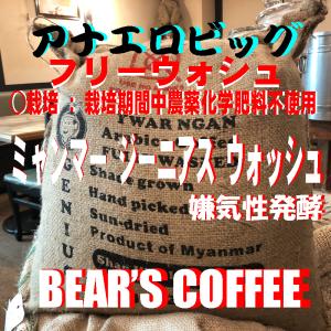 bearscoffee コーヒー豆ミャンマーアナエロビック 100g コーヒー送料無料 メール便  コーヒーの加工方法で脚光アナエロビックファーメンテーション｜bearscoffee