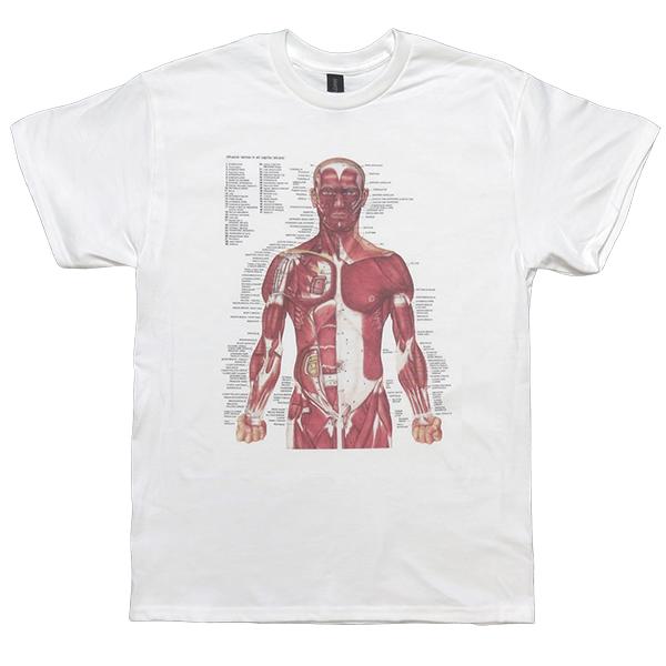 [XLサイズ]Nirvana カート・コバーン着用 人体解剖図（筋肉系）90sヴィンテージ復刻Tシャ...