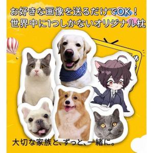 写真入れ オーダーメイドペットクッション 写真入り