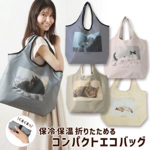保冷 コンパクト エコバッグ CAT DAY ネ...の商品画像