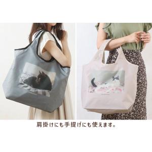 保冷 コンパクト エコバッグ CAT DAY ...の詳細画像3
