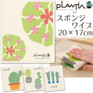 キッチン ワイプ 水に濡らして使うふきん スポンジワイプ 20×17cm PLANTIA しっかり吸水 セルロース メール便可｜beau-p