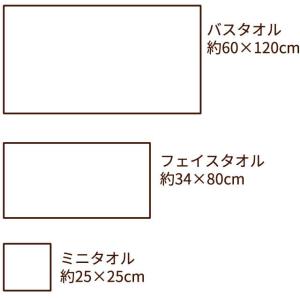 フェイスタオル Sybilla シビラ エンラ...の詳細画像5