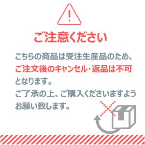 正規販売店 秘湯の郷土 ひとうのさと ハイグレ...の詳細画像2