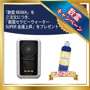 数霊REIWA  かずたま 令和 れいわ 数霊セラピーシステム reiwa 数霊reiwa 数霊 reiwa 波動 測定｜beau-store