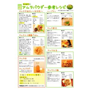 正規販売店 IPM アムラパウダー 100g ...の詳細画像1