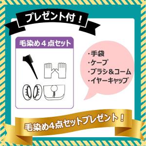 正規販売店 ★毛染めセット2個プレゼント IP...の詳細画像1