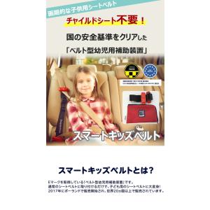 正規販売店 スマートキッズベルト 2個セット ...の詳細画像1