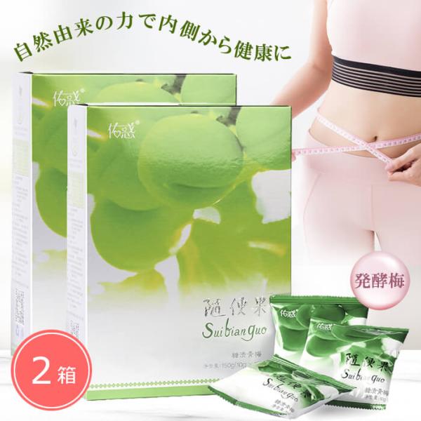 随便果 10g×15個 2箱セット ずいびんか 発酵梅 天然発酵食品 100％天然果実 ダイエット ...
