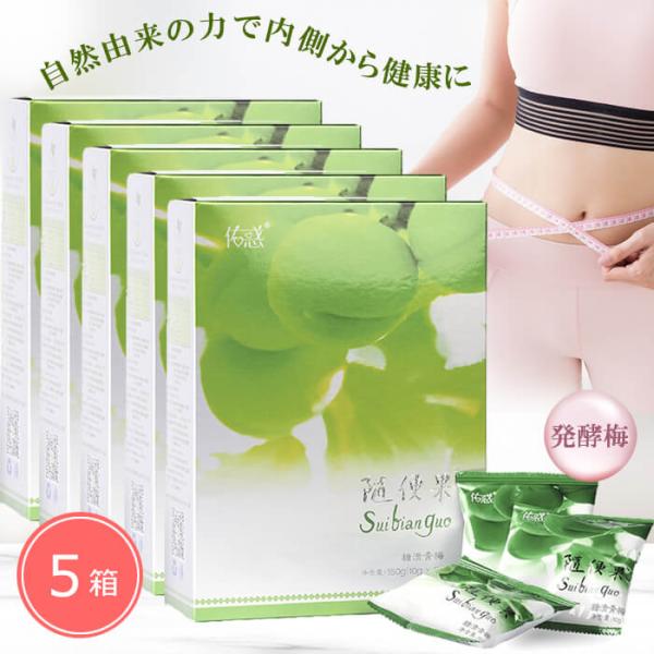 随便果 10g×15個 5箱セット ずいびんか 発酵梅 天然発酵食品 100％天然果実 ダイエット ...