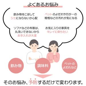 撥水スプレー 汚れ防止 シミ防止 布 スプレー...の詳細画像2