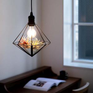 DI CLASSE（ディクラッセ） シーリングライト ペンダントライト 5灯