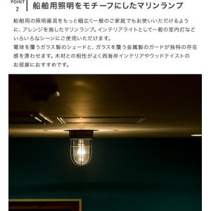 マリンランプ 1灯 モアナ MOANA マリン...の詳細画像5