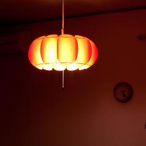 大光電機 安心のメーカー保証 【インボイス対応店】DXL81411