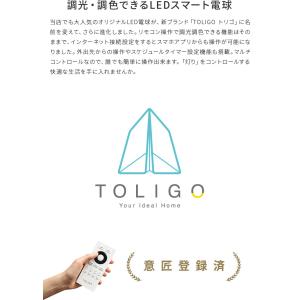 Amazon Alexa Google hom...の詳細画像3