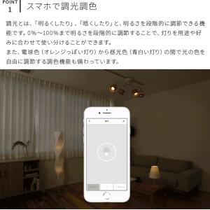Amazon Alexa Google hom...の詳細画像4