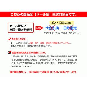 ナプラ N. エヌドット ポリッシュオイル 1...の詳細画像1