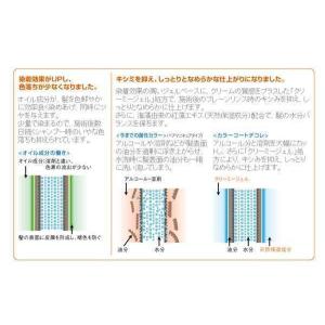 イリヤ カラーコートデコレ D-L2ライトマロ...の詳細画像1