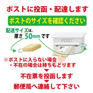 イリヤ カラーコートデコレ D-L2ライトマロ...の詳細画像4