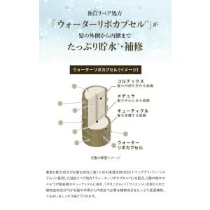 詰め替え バイツリーズ うるモイストシャンプー...の詳細画像4