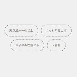 柔軟剤 ナイス&クイック ボタニカル 家族想い...の詳細画像1