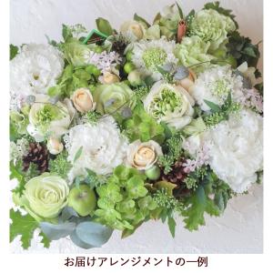 開店祝い 花 フラワーアレンジメント 誕生日 ...の詳細画像3