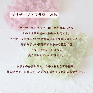 プリザーブドフラワー リース ピンク おしゃれ...の詳細画像3