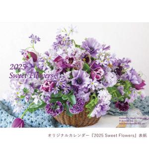 赤いペガサス コミック 全6巻完結セット (少年サンデー 赤いペガサス コミック 全6巻完結セット (少年サンデー