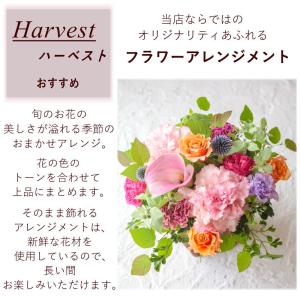母の日 花 ギフト 誕生日 お供え フラワーア...の詳細画像4