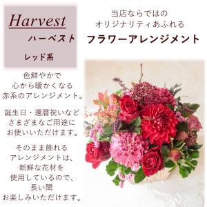 還暦祝い 花 フラワーアレンジメント 誕生日 ...の詳細画像4