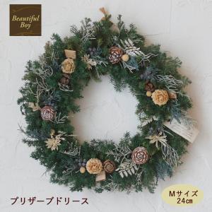 クリスマスリース 北欧 おしゃれ 2026 玄関 壁掛け led オプション 手作り グリーン クリスマス リース 壁 ドア 外 飾り Neige ネージュ CR26-WM02