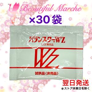 バランスターWZ 120粒 携帯用（4粒×30袋）