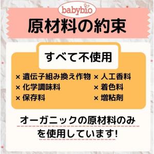 babybio ベビービオ オートミール スム...の詳細画像2