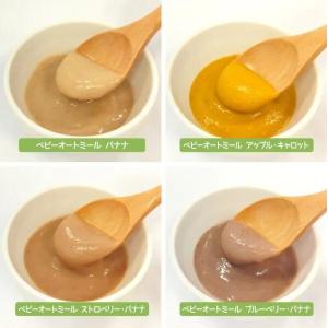babybio ベビービオ オートミール スム...の詳細画像4
