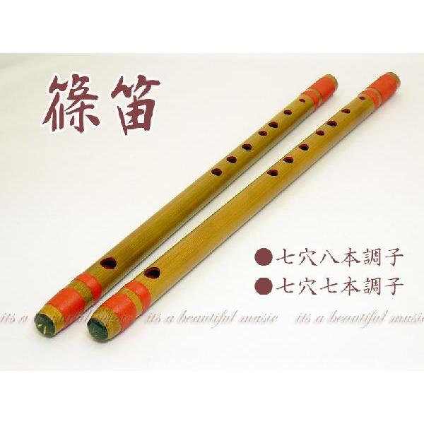 【its】教材や洋楽器との合奏に！お求めやすいドレミファ音階の竹製篠笛　B調・C調から選べます！