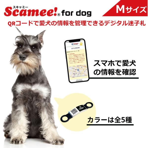 スキャミー Scamee! for dog シール5枚&amp;シリコーンプレートタグセット Mサイズ │ワ...