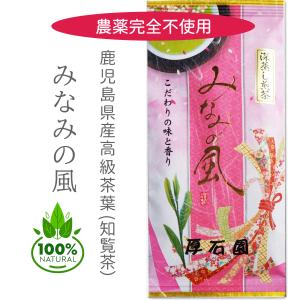 みなみの風 100g  無農薬 知覧茶 緑茶  深むし茶 自家製有機質肥料 高級緑茶葉 鹿児島産　深蒸し煎茶