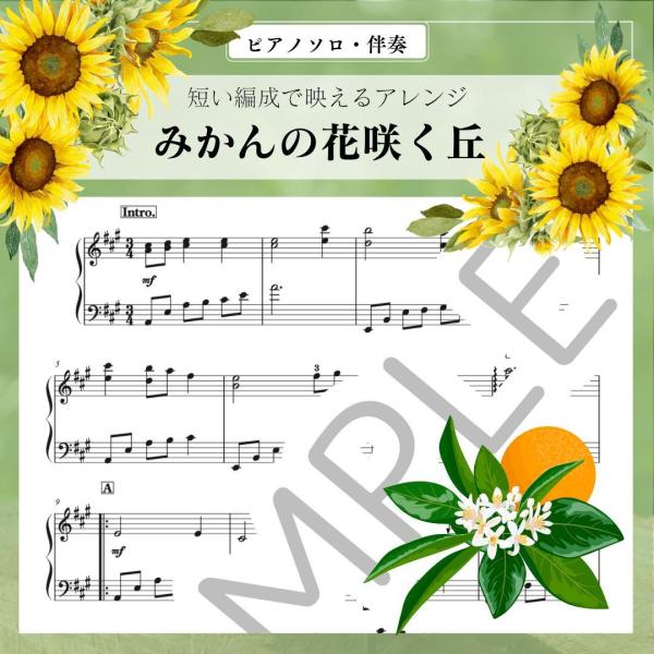 みかんの花咲く丘　海沼 實　楽譜 ピアノソロ・伴奏  中級〜上級　高齢者施設のコンサートに