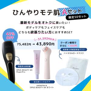 2023年サマーバッグ ひんやりモテ肌Aセット/ 業務用脱毛器メーカー開発